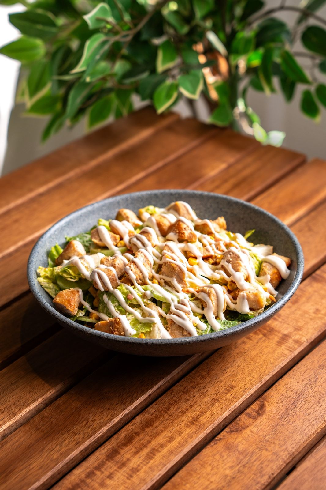 Chicken Green Salad